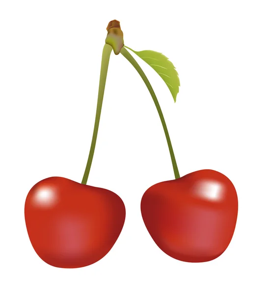 Cherry, cherry manis, berry, makanan, merah , - Stok Vektor