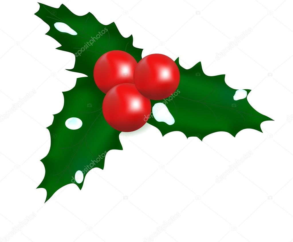 muérdago con bayas de color rojo — Vector de stock © sss07 86900348