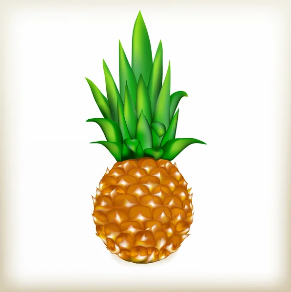 Pineapple an exotic food — Stock Vector