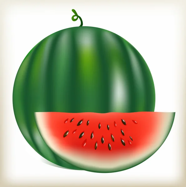 Wassermelonen-Vektor — Stockvektor