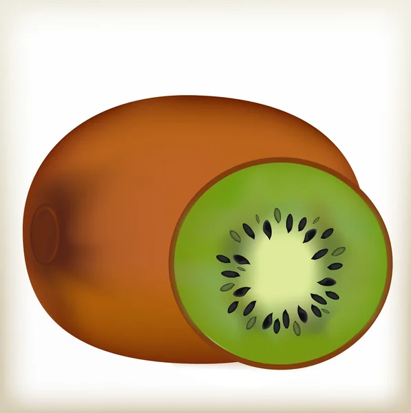 Kiwi, pianta, vettore — Vettoriale Stock