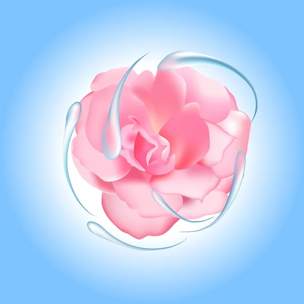Růže s vodou — Stockový vektor