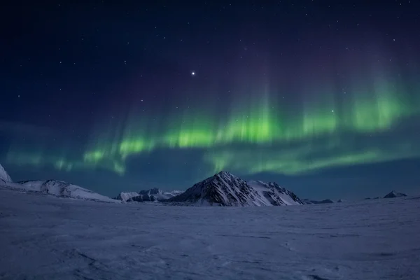 Invierno ártico en el sur de Spitsbergen Imágenes de stock libres de derechos