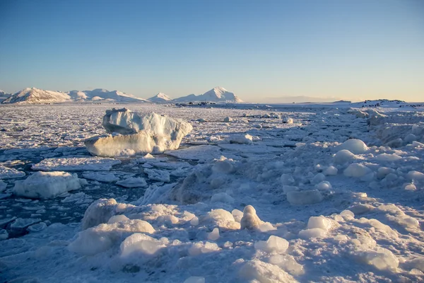南スピッツ ベルゲンの北極の冬 — ストック写真