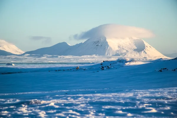 Inverno Ártico no sul de Spitsbergen — Fotografia de Stock