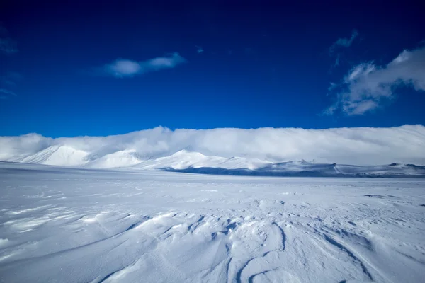 Arctische Winterspelen in Zuid-Spitsbergen — Stockfoto