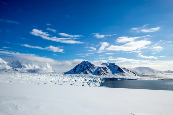 Primavera ártica en el sur de Spitsbergen Fotos de stock libres de derechos