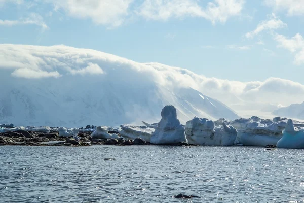 Printemps arctique dans le sud du Spitzberg — Photo