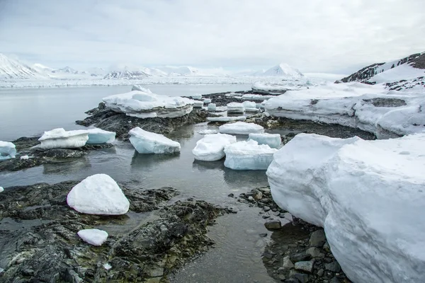 Primavera do Ártico no sul de Spitsbergen — Fotografia de Stock
