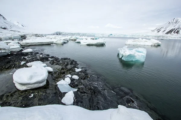 Arctic spring in south Spitsbergen — Stock Photo, Image