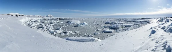 Primavera do Ártico no sul de Spitsbergen — Fotografia de Stock