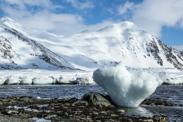 Αρκτική άνοιξη στη Νότια Spitsbergen — Φωτογραφία Αρχείου