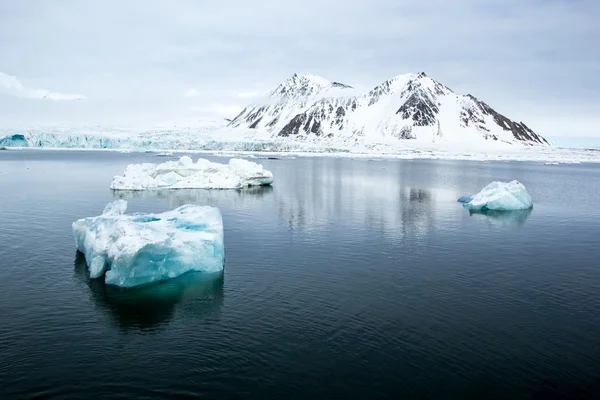 Kuzey Kutbu Güney Spitsbergen baharda — Stok fotoğraf