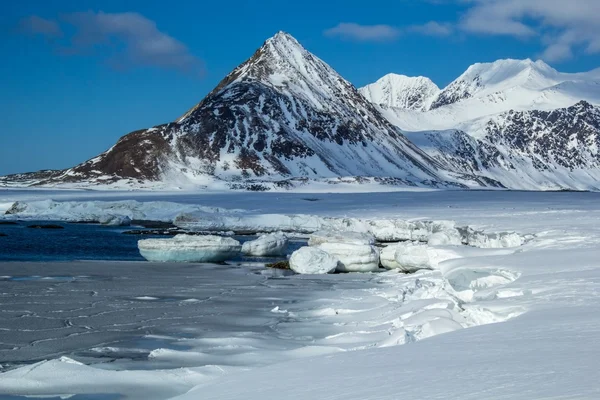 Αρκτική άνοιξη στη Νότια Spitsbergen — Φωτογραφία Αρχείου