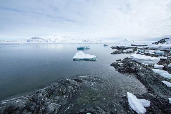 Printemps arctique dans le sud du Spitzberg — Photo