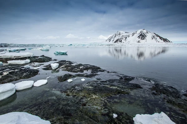 Arctic spring in south Spitsbergen — Stock Photo, Image