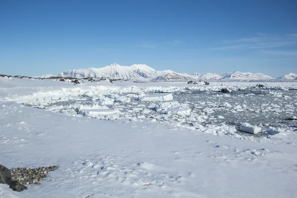 Primavera ártica en el sur de Spitsbergen — Foto de Stock