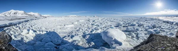 Arktyczny wiosna w południowej Spitsbergen — Zdjęcie stockowe