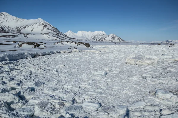 Арктическая весна на юге Шпицбергена — стоковое фото