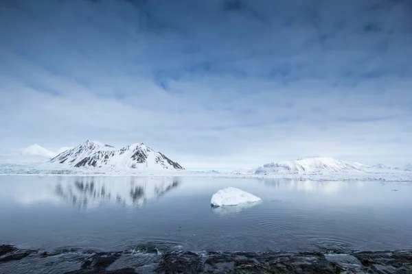 Primavera ártica en el sur de Spitsbergen Imágenes de stock libres de derechos