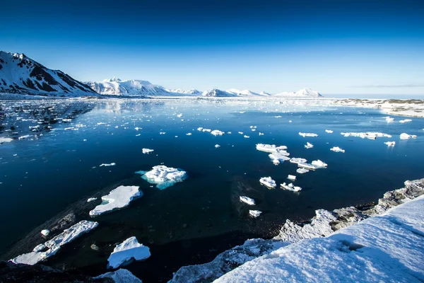 Arctic spring in south Spitsbergen — Stock Photo, Image