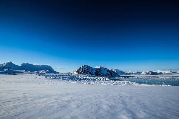 Primavera do Ártico no sul de Spitsbergen — Fotografia de Stock