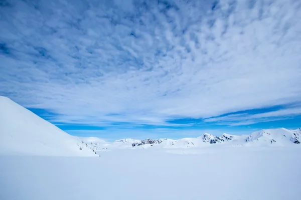 Primavera ártica en Spitsbergen . — Foto de Stock