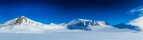 Primavera artica a Spitsbergen . — Foto Stock