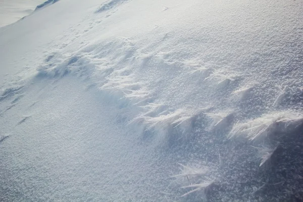 Arktischer Frühling auf Spitzbergen. — Stockfoto