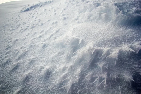 Kuzey Spitsbergen baharda. — Stok fotoğraf