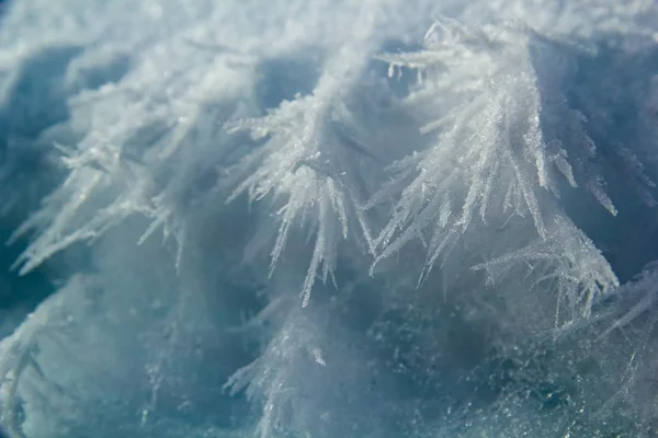 Arctische Lente in Spitsbergen. — Stockfoto