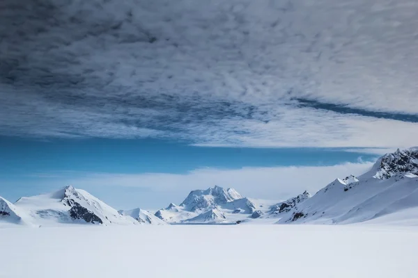 Arctic spring in Spitsbergen. — Stock Photo, Image