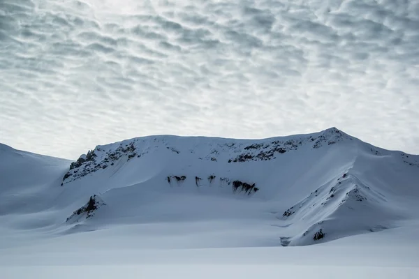Kuzey Spitsbergen baharda. — Stok fotoğraf