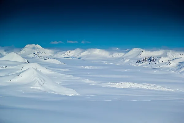 Printemps arctique à Spitzberg . — Photo