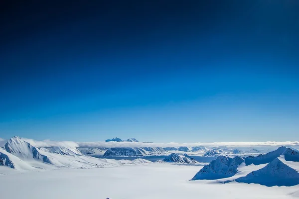 Arktischer Frühling auf Spitzbergen. Stockbild