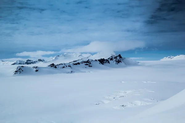 Arktischer Frühling auf Spitzbergen. lizenzfreie Stockbilder