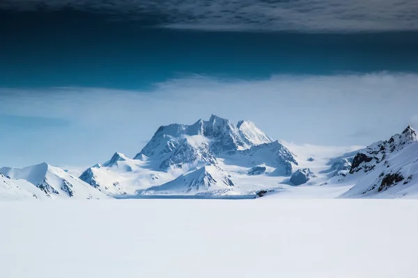 Primavera do Ártico em Spitsbergen . Imagens Royalty-Free