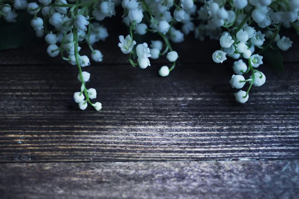 山谷的百合花 — 图库照片