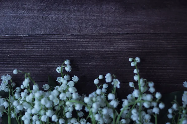 Lilies of the valley — Stock Photo, Image