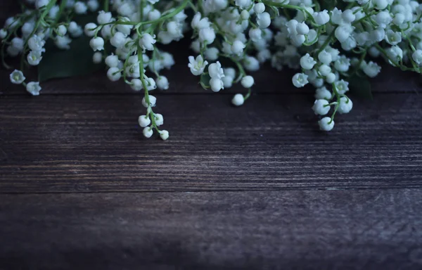 Lilies of the valley — Stock Photo, Image