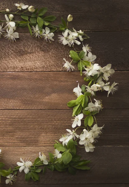 Flores de manzana —  Fotos de Stock