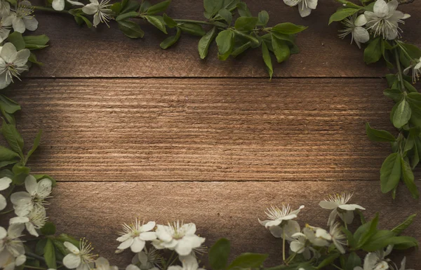 Flores de maçã — Fotografia de Stock