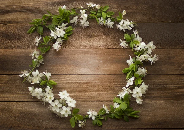 Apple flowers — Stock Photo, Image