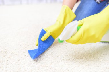 Halı temizleme spreyi.