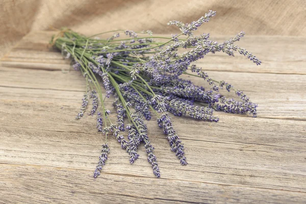 Lavanta ahşap kurullarında.