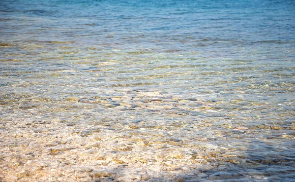 Lecho marino rocoso y agua clara. — Foto de Stock