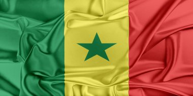 senegal Cumhuriyeti bayrağı