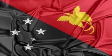 Papua Yeni Gine Bayrağı