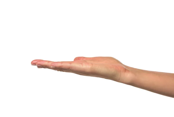 Eine Frauenhand öffnen, mit der Handfläche nach oben. — Stockfoto