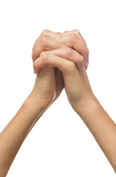 Praying hands of a woman. — Stock Photo, Image